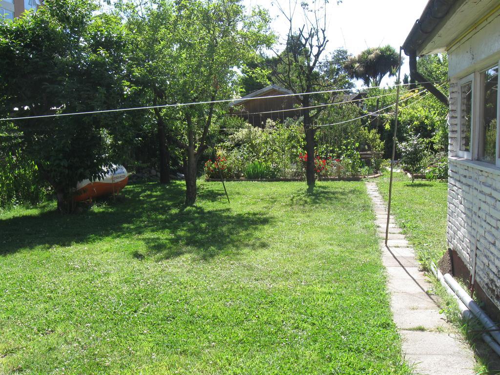 Hostal Entre Araucarias Temuco Extérieur photo